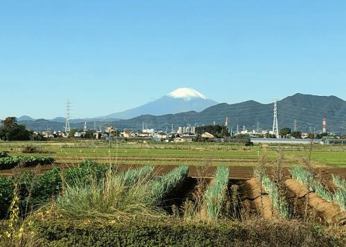 富士山　ブログ用2.jpg